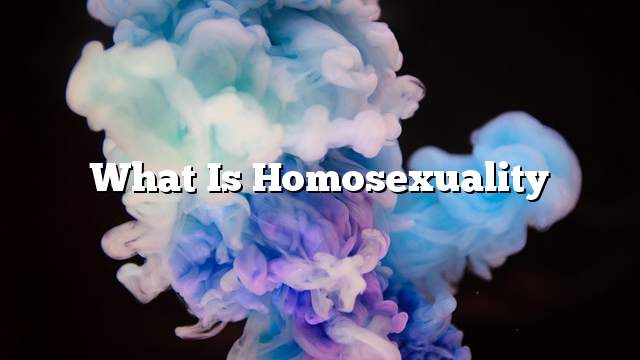 What is homosexuality