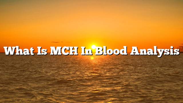 What is MCH in blood analysis