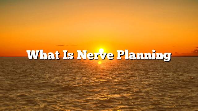 What is nerve planning