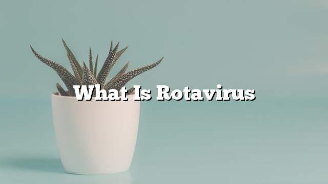 What is rotavirus