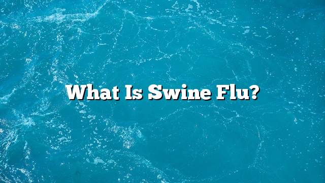 What is swine flu?