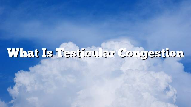 What is testicular congestion