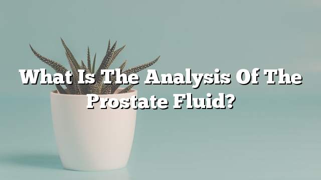 What is the analysis of the prostate fluid?