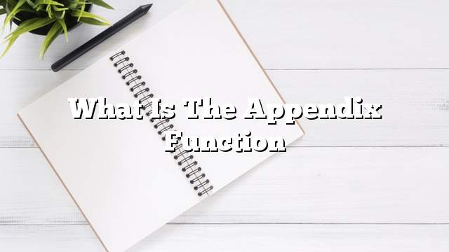 What is the appendix function