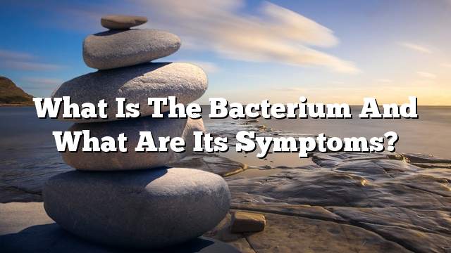 What is the bacterium and what are its symptoms?