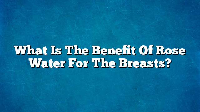 What is the benefit of rose water for the breasts?