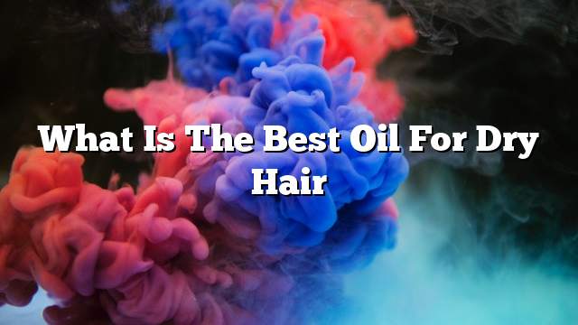 What is the best oil for dry hair