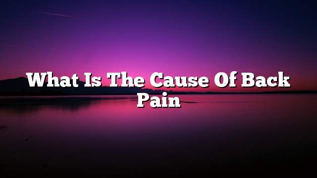 What is the cause of back pain