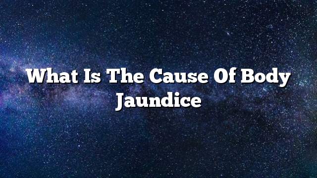 What is the cause of body jaundice