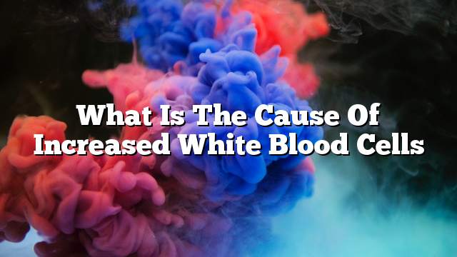 What is the cause of increased white blood cells