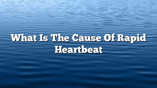 What is the cause of rapid heartbeat