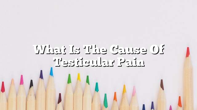 What is the cause of testicular pain