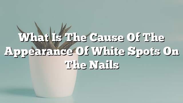 What is the cause of the appearance of white spots on the nails