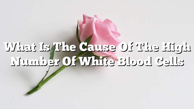 What is the cause of the high number of white blood cells