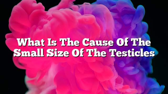 What is the cause of the small size of the testicles