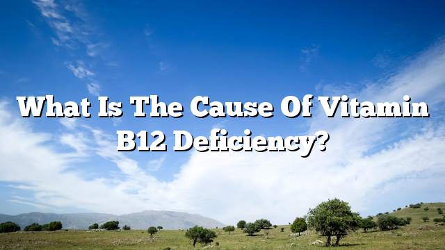 What is the cause of vitamin B12 deficiency?