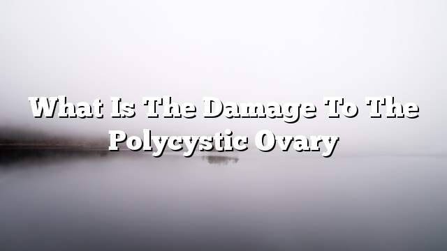 What is the damage to the polycystic ovary