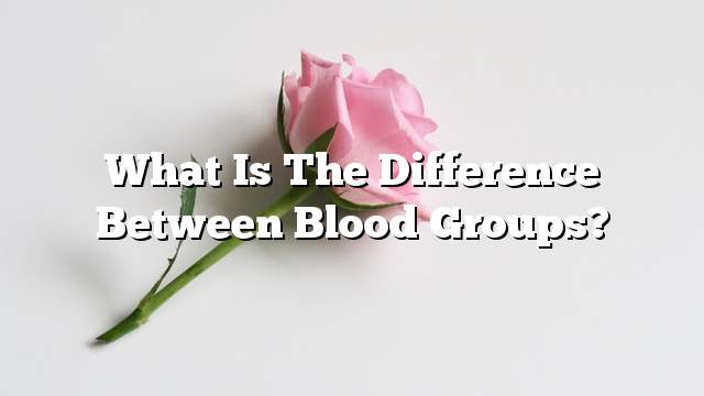 What is the difference between blood groups?