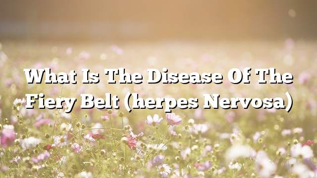 What is the disease of the fiery belt (herpes nervosa)