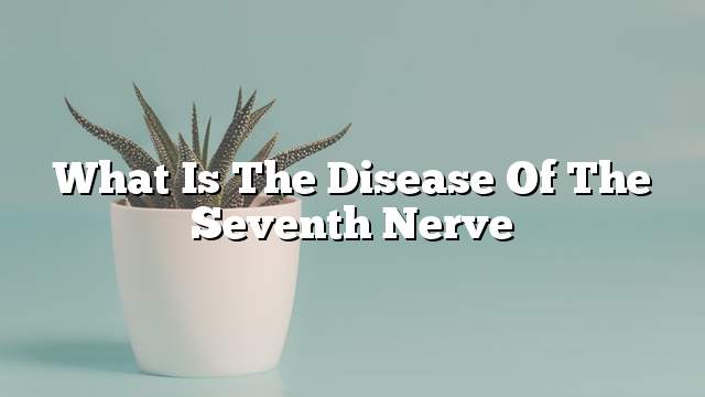 What is the disease of the seventh nerve