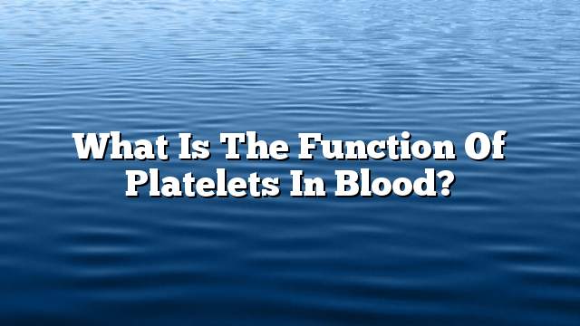 What is the function of platelets in blood?