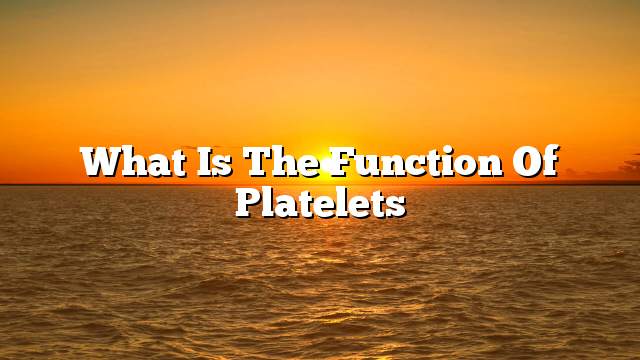 What is the function of platelets