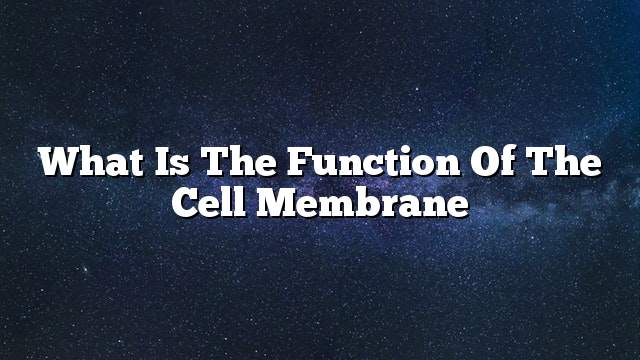 What is the function of the cell membrane