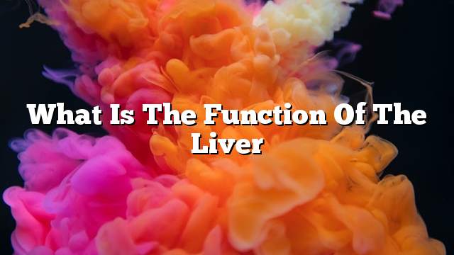 What is the function of the liver