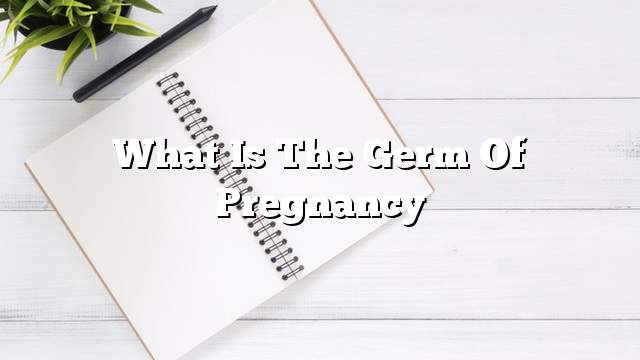 What is the germ of pregnancy