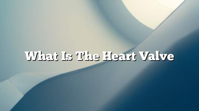 What is the heart valve