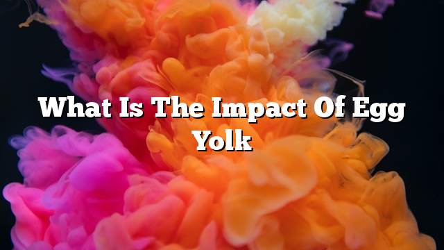 What is the impact of egg yolk