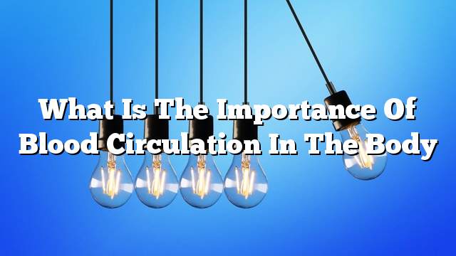 What is the importance of blood circulation in the body