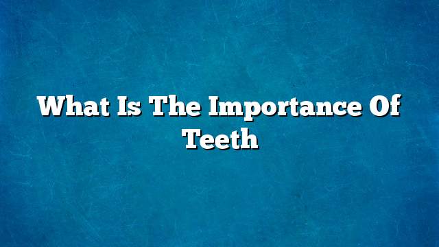 What is the importance of teeth