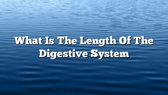 What is the length of the digestive system