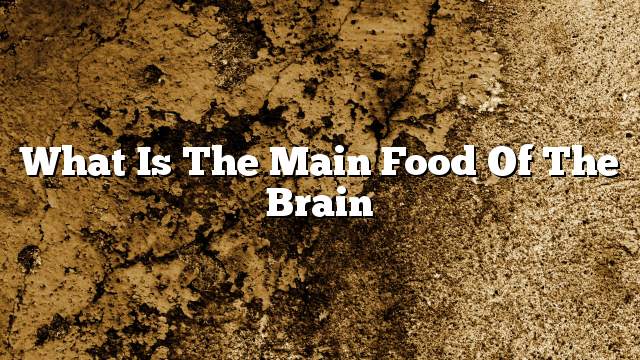 What is the main food of the brain