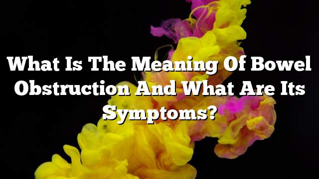 What is the meaning of bowel obstruction and what are its symptoms?