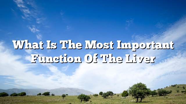 What is the most important function of the liver