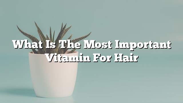 What is the most important vitamin for hair