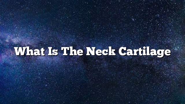 What is the neck cartilage