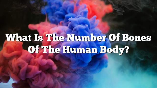 What is the number of bones of the human body?