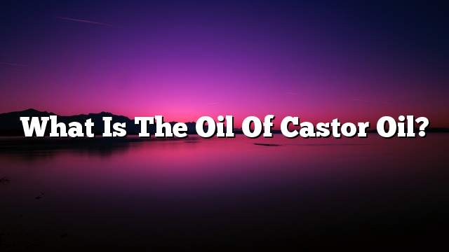 What is the oil of castor oil?