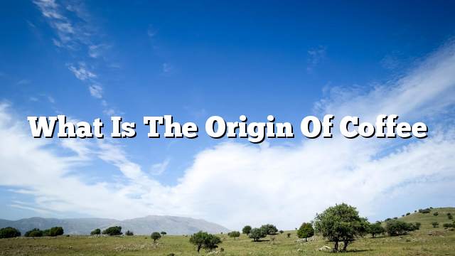 What is the origin of coffee