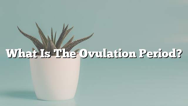 What is the ovulation period?