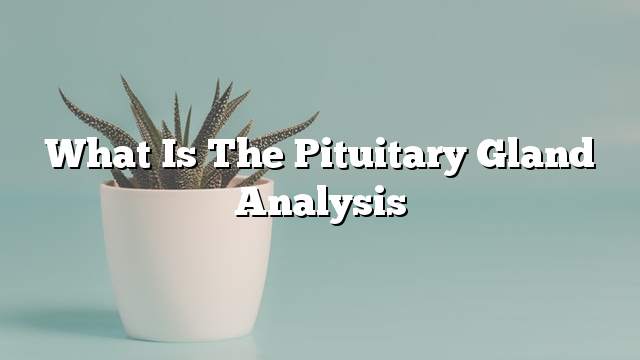 What is the pituitary gland analysis