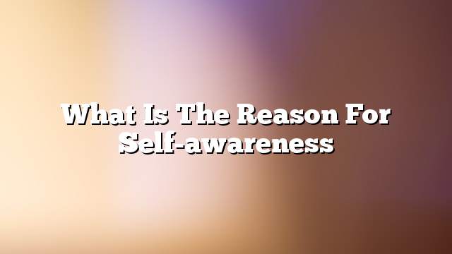 What is the reason for self-awareness