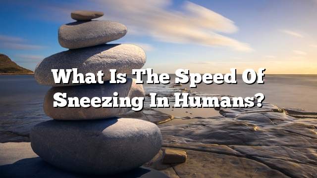 What is the speed of sneezing in humans?