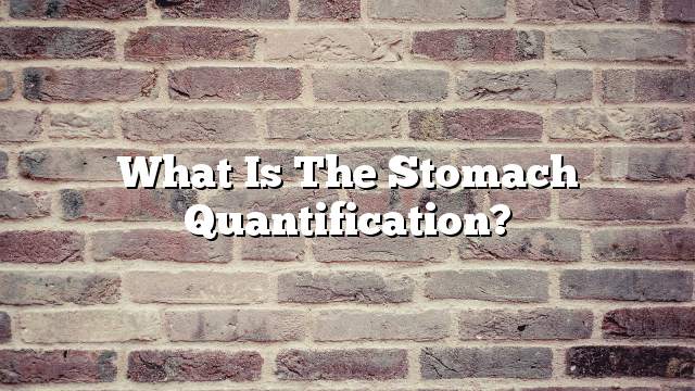 What is the stomach quantification?