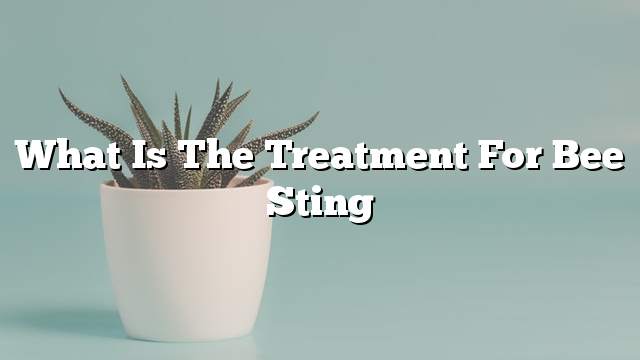 What is the treatment for bee sting
