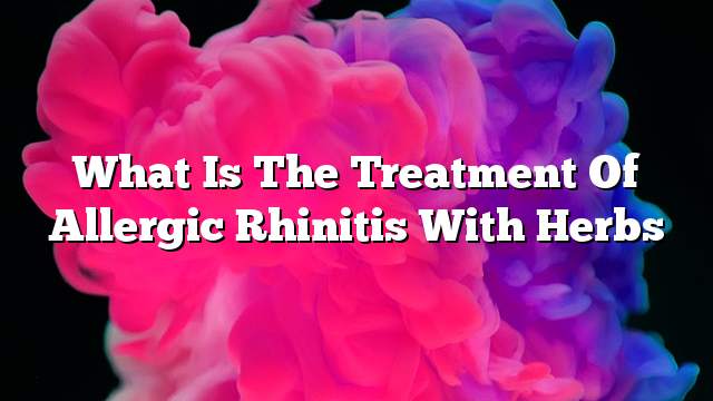 What is the treatment of allergic rhinitis with herbs