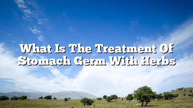 What is the treatment of stomach germ with herbs